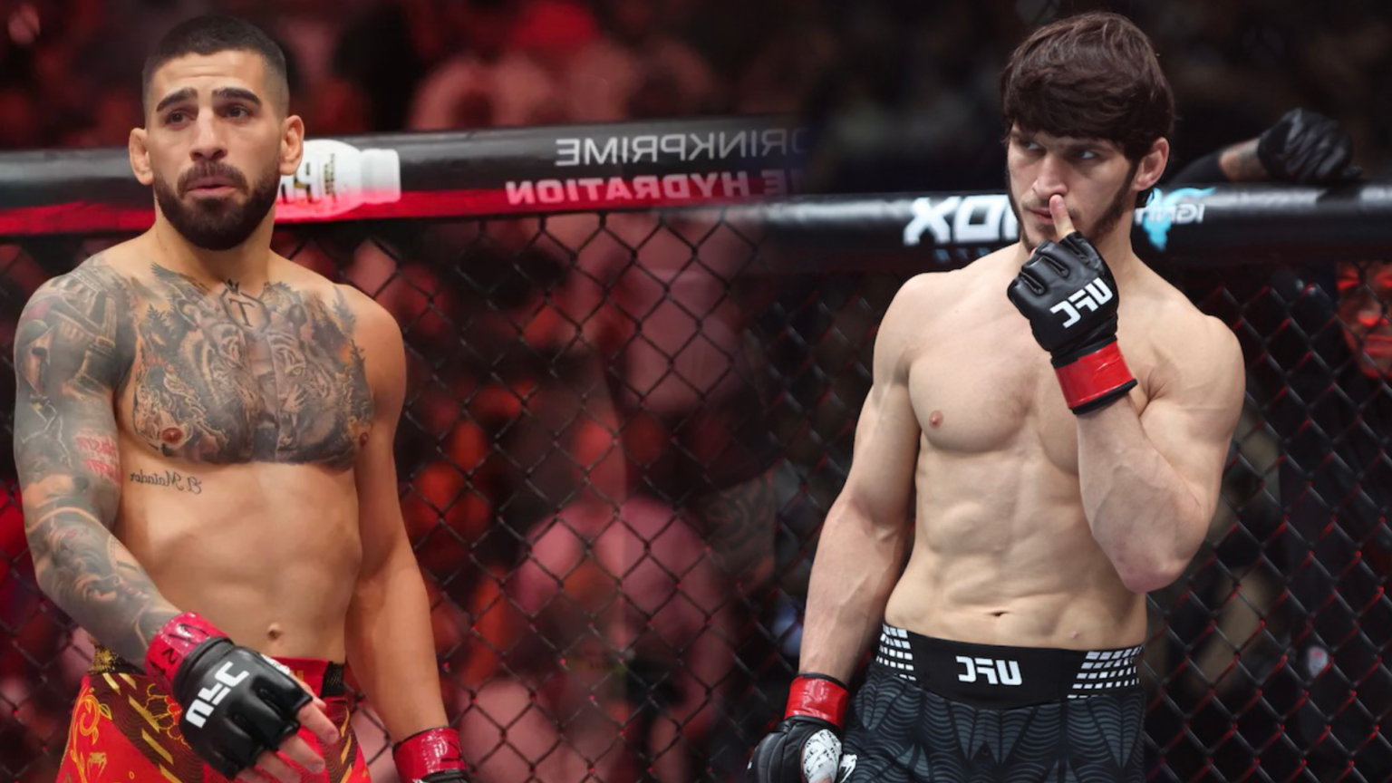 MMA : quand l’affrontement verbal entre Movsar Evloev et Ilia Topuria enflamme la rivalité avec Islam Makhachev