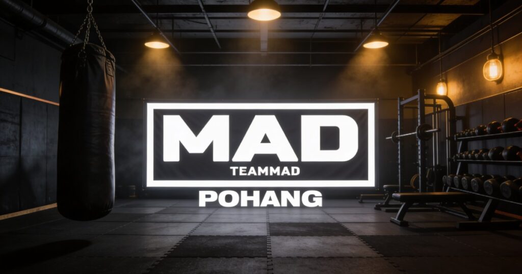 Pohang Team MAD