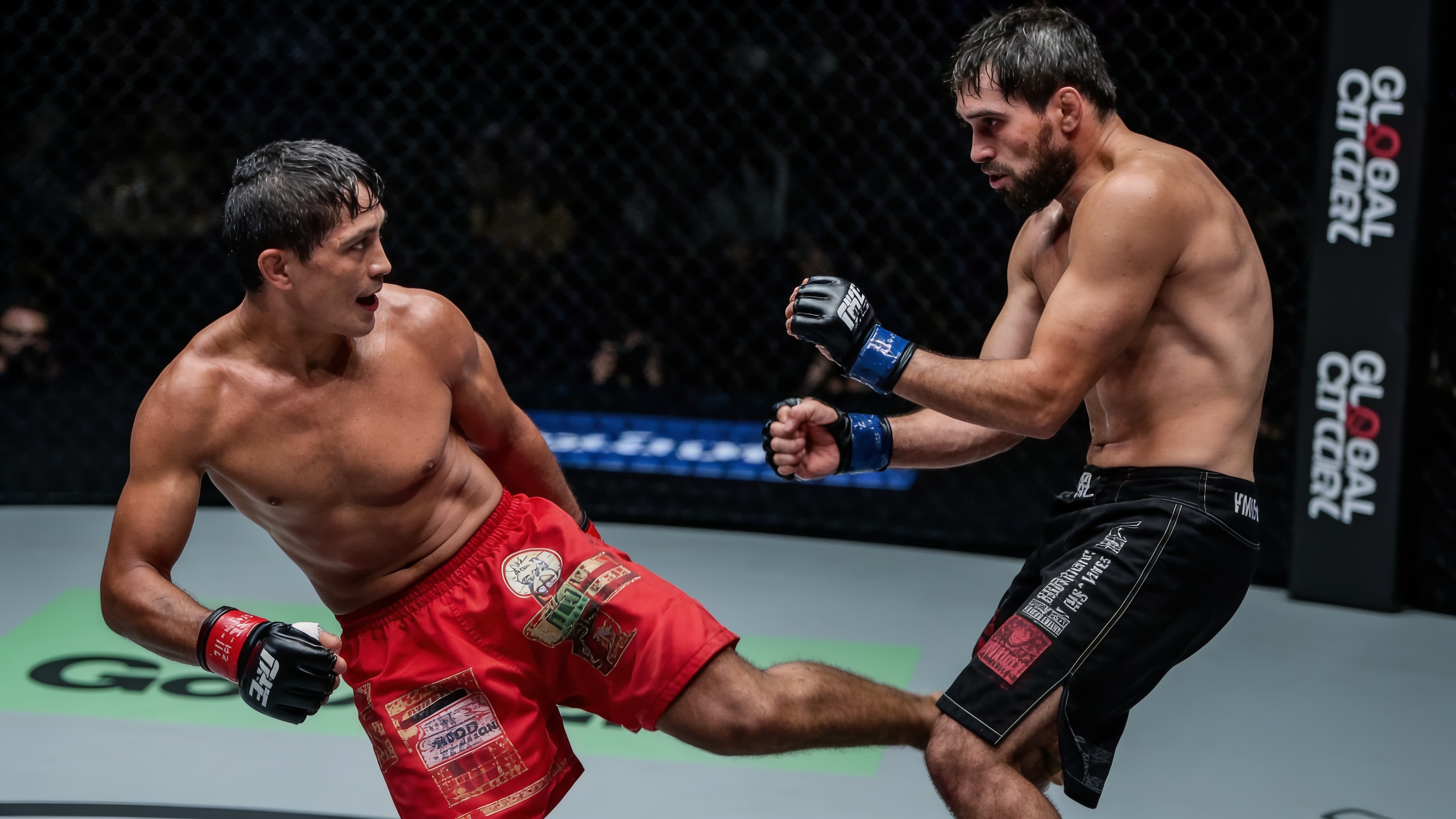 Calf kick au mollet lors d un combat de MMA