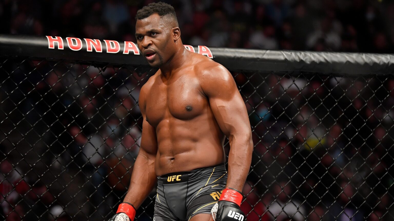Le MMA africain en quête de nouveaux champions après l’ère des « Three Kings »