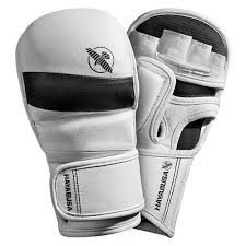 Hayabusa T3